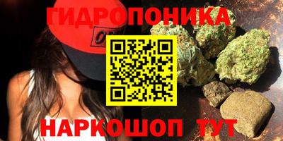 бошки Тула