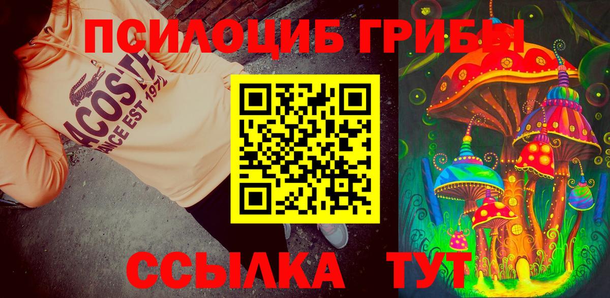 Галлюциногенные грибы Psilocybe Трёхгорный