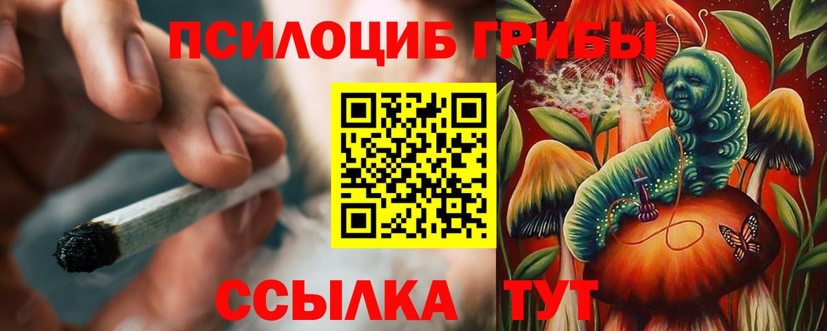 Псилоцибиновые грибы Psilocybe  закладки  Трёхгорный  Вход с VPN 